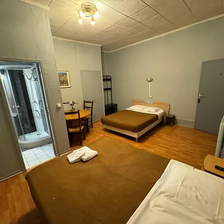 Hotel Le Terminus D'albi 2*