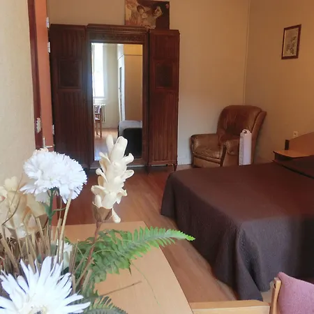 Le Terminus D'albi Hotel 2*
