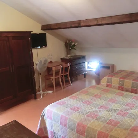 Le Terminus D'albi Hotel Albi